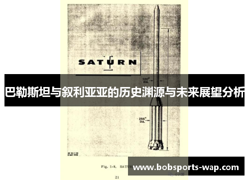 巴勒斯坦与叙利亚亚的历史渊源与未来展望分析